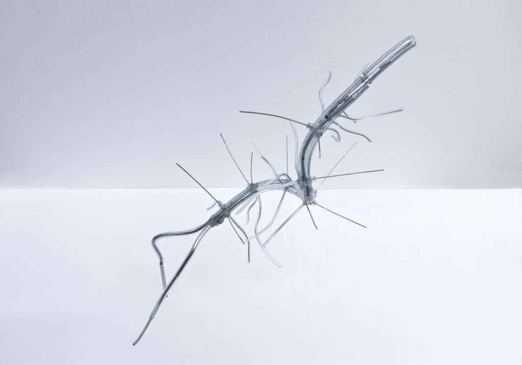 Martin Walde, PISA (HALMOD 022X), Hallucigenia Modell, 2015, Courtesy Galerie Krinzinger