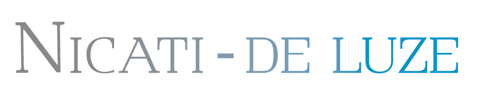 logo_nicatideluze_couleur